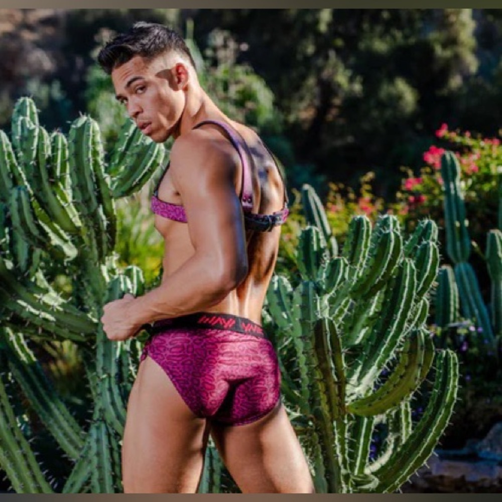 Wayne Lace up Briefs